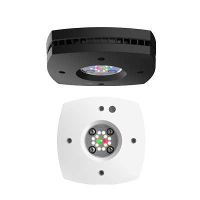 AI Prime 16HD Süßwasser Weiß