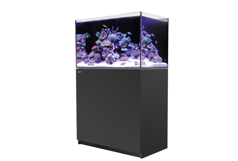 RED SEA REEFER Aquarium 250 G2+