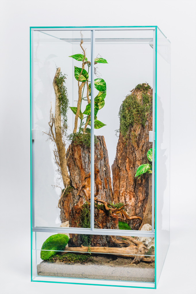 Terrarium hoch L50xT50xH100 Glas incl. Edelstahlgaze