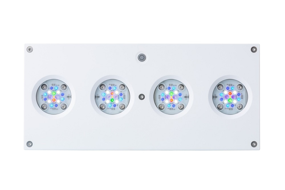 AI Hydra HD 64 LED 