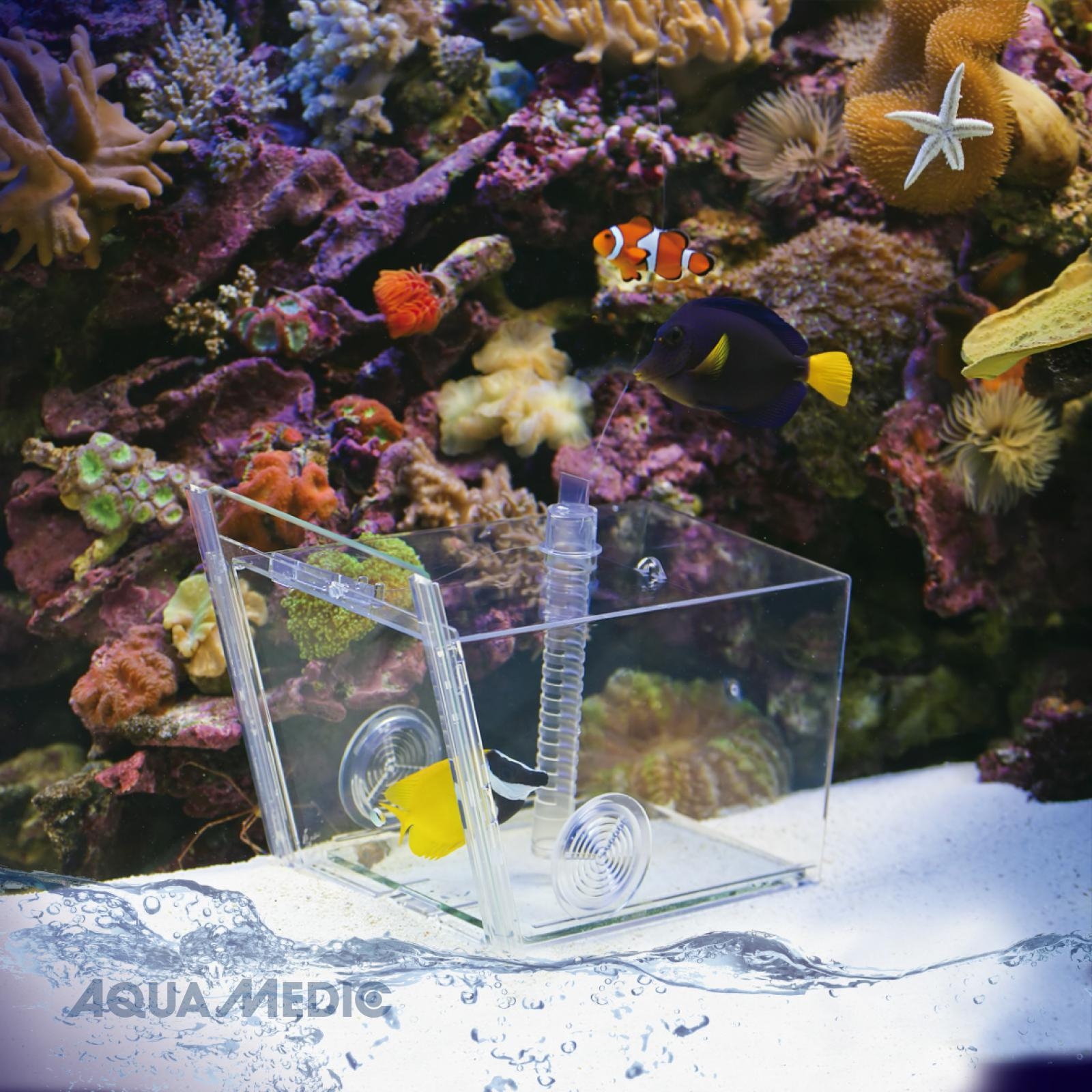 Aqua Medic Fish trap Fischfalle