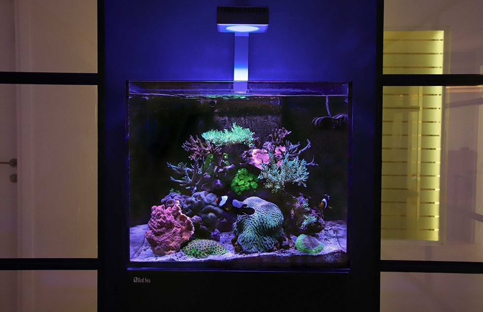 Red Sea Reef LED 90