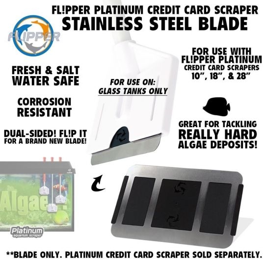 Flipper Platinum Scraper - Edelstahl-Ersatzklinge