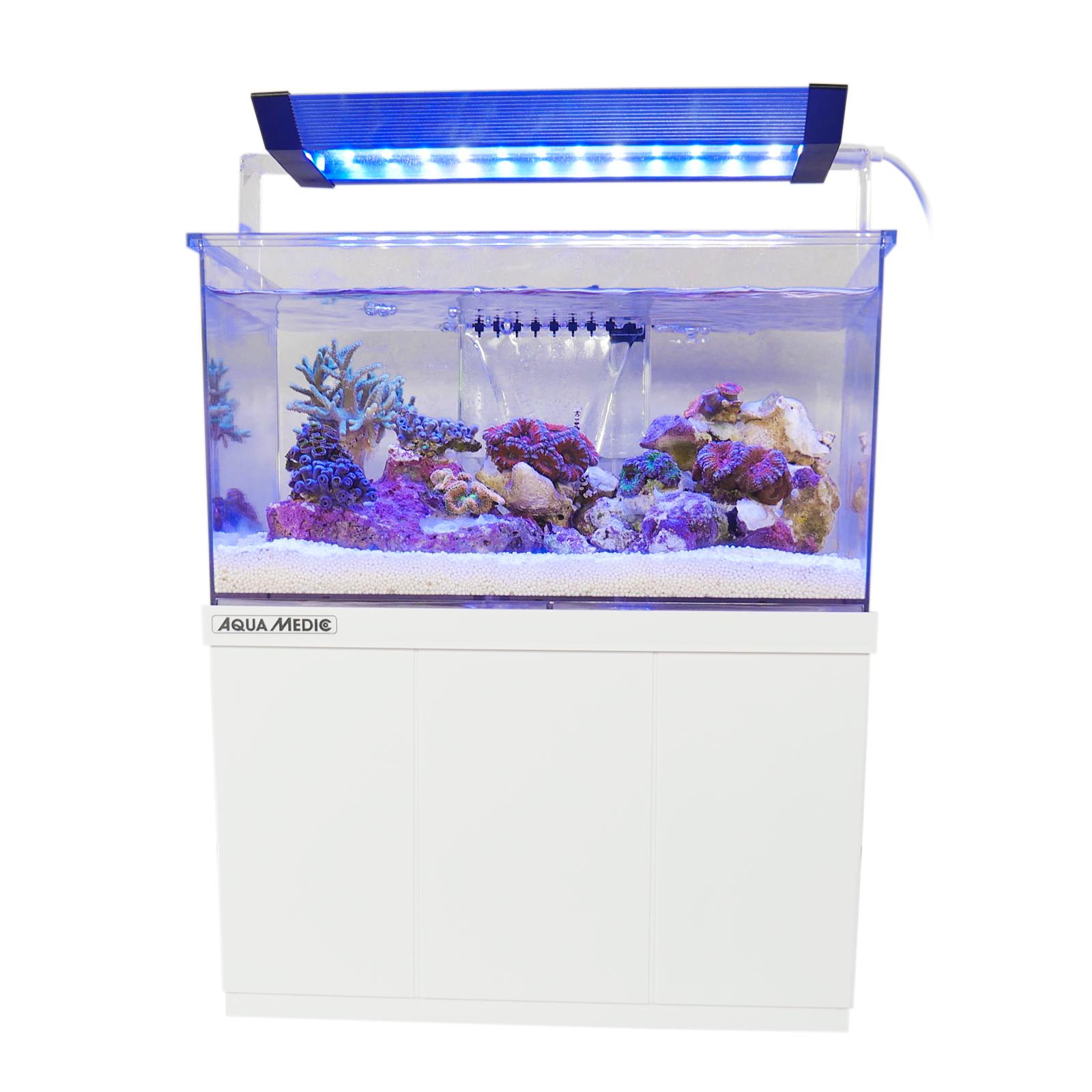 Armatus XS Micro Aquarium 