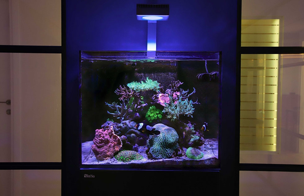 Red Sea Reef LED 50