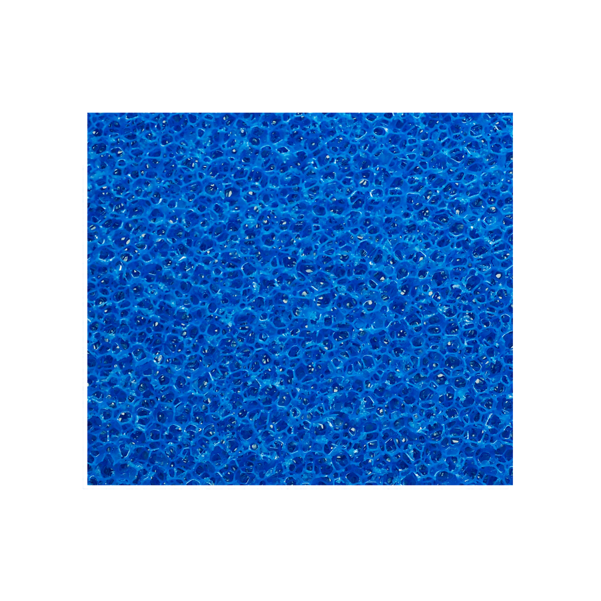 Filterschaumstoff grob/ medium (blau)