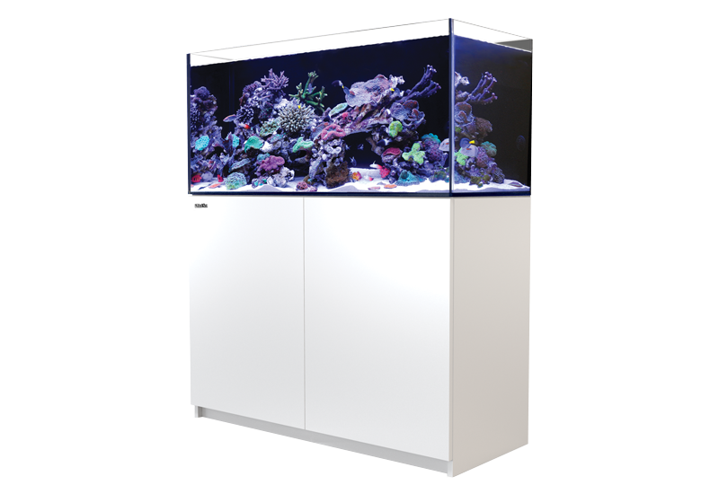 Red Sea Reefer 350 G2+ Aquarium