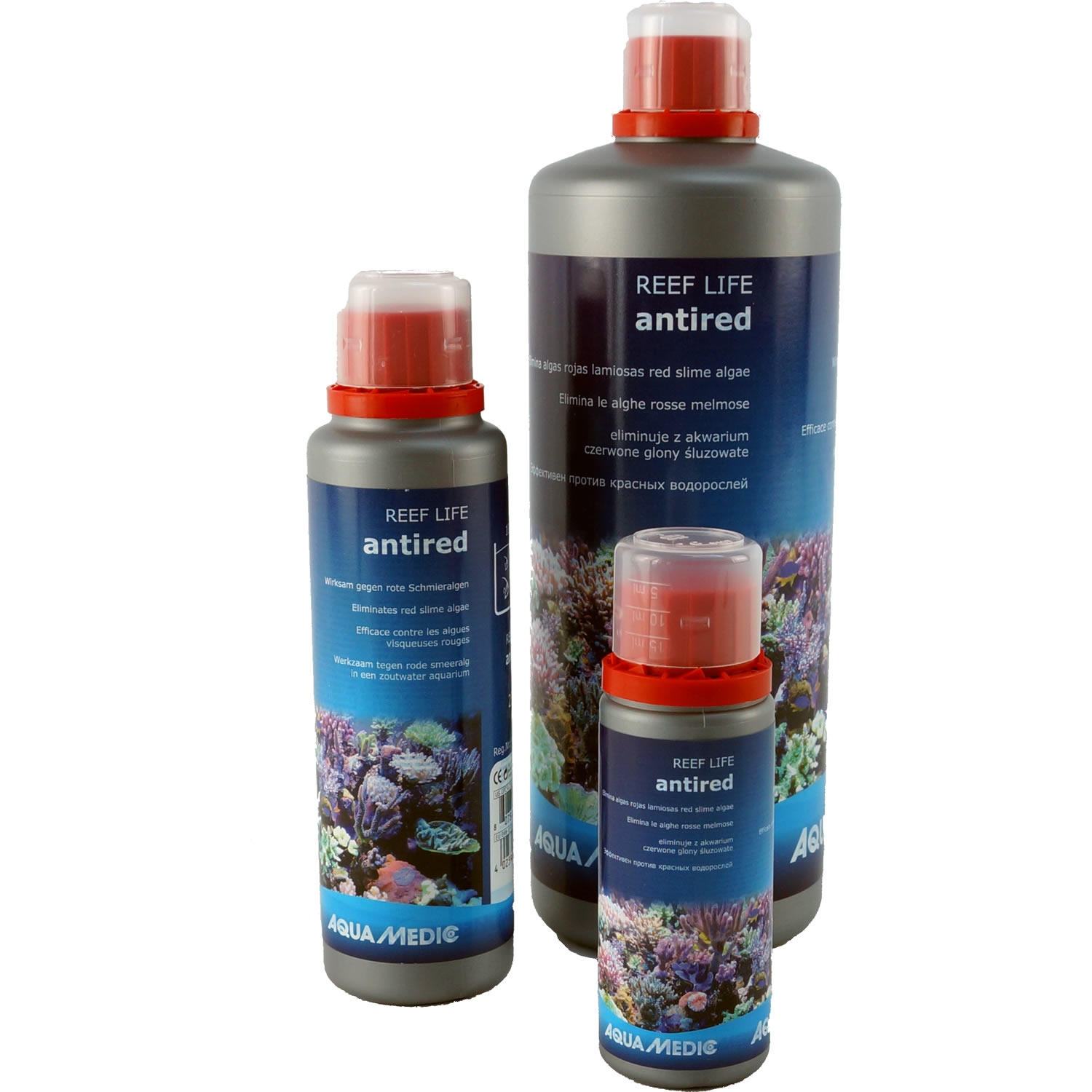 REEF LIFE antired Wirksam gegen rote Schmieralgen