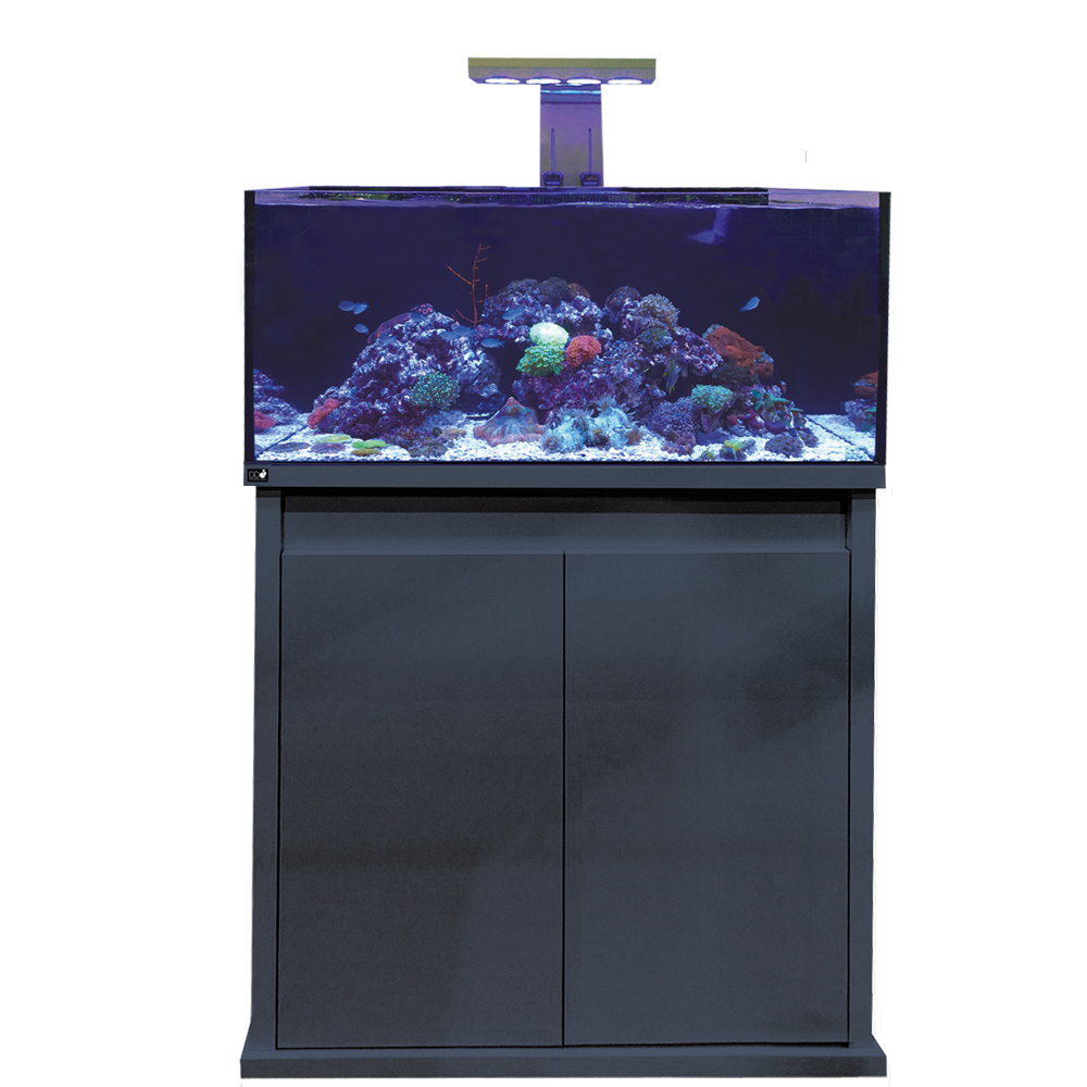 Reef-Pro 900  - Aquariumsystem Anthracite Glanz 