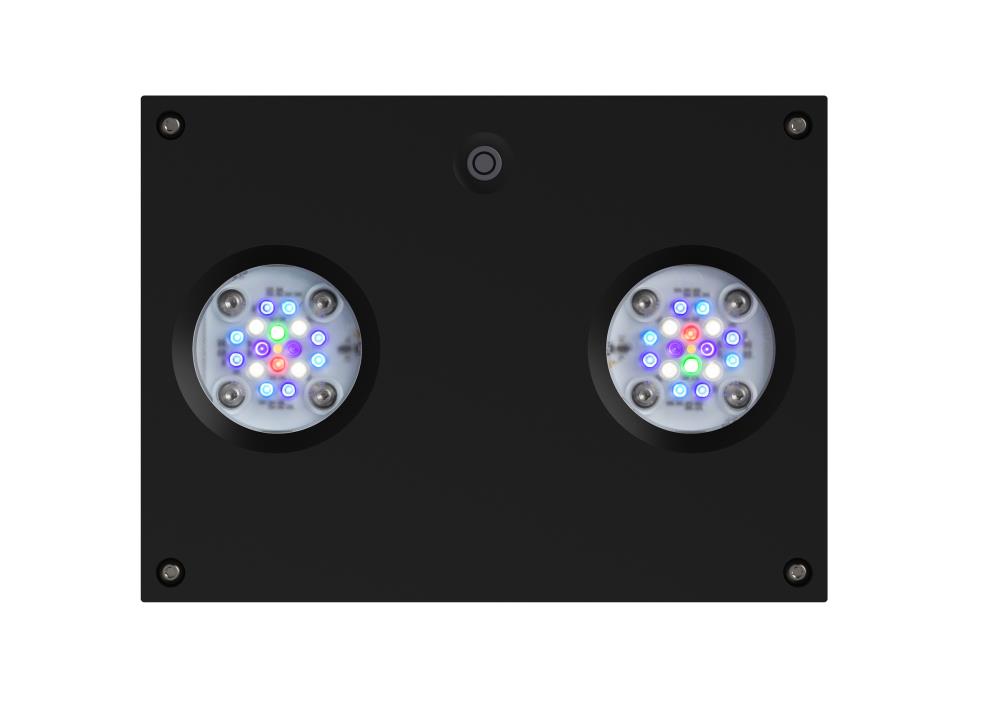 AI Hydra HD 32 LED AI Hydra HD 32 LED