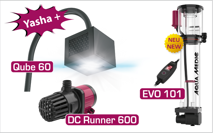 Aqua Medic Yasha+ 60 mit Qube 60 Meerwasser-Komplettbecken