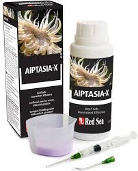 Red Sea Aiptasia X (60ml)