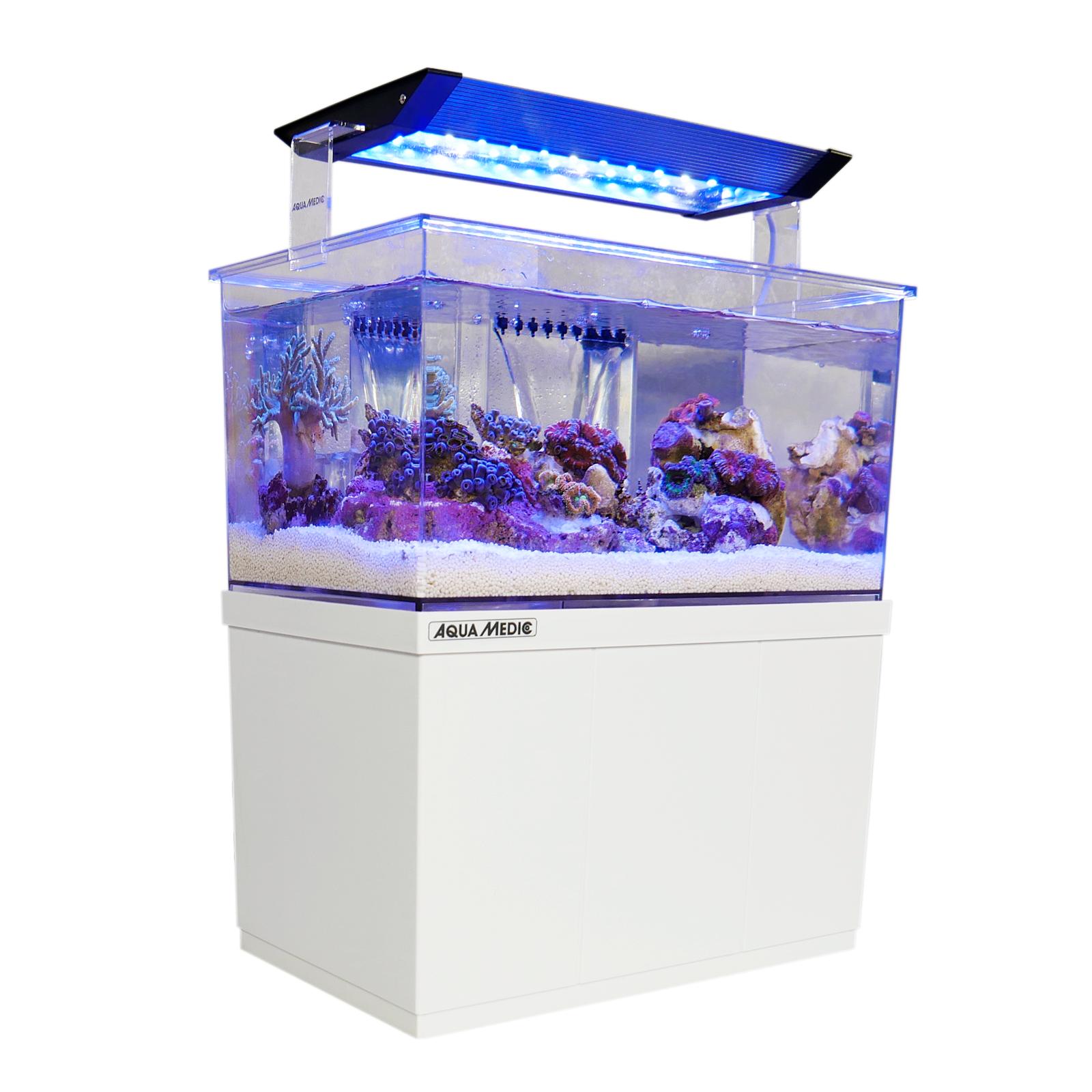 Armatus XS Micro Aquarium 