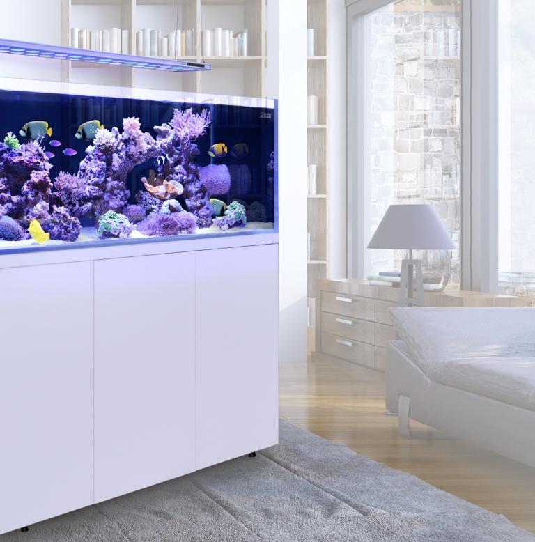 L'Aquarium 250L Schwarz L'Aquarium 250L Schwarz