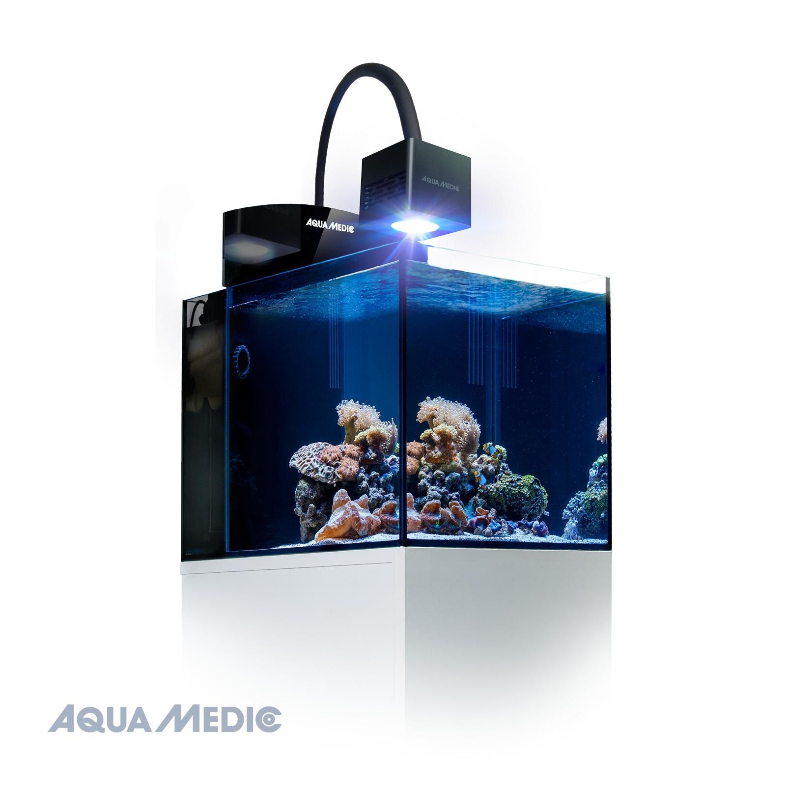 Nano Aquarium komplettset kaufen Meerwasser Becken im Nano Format